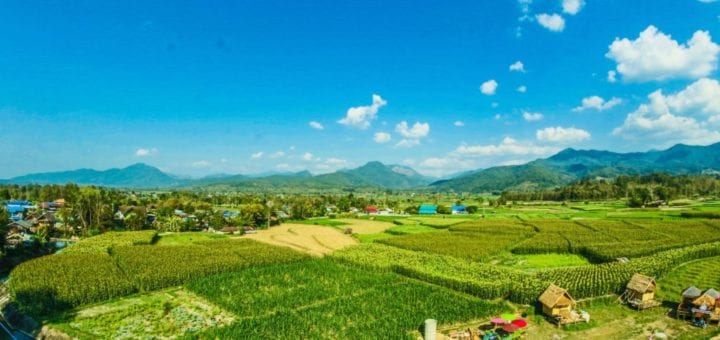 Agricoltura Biologica