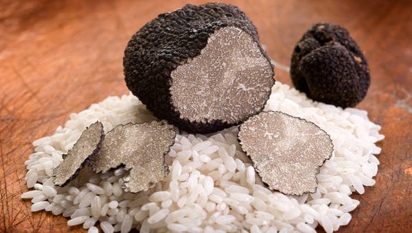 Conservazione tartufo